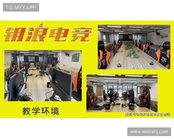 全球电竞职业联赛体系发展趋势与青年玩家职业化培养路径分析